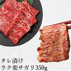 NyTK350g